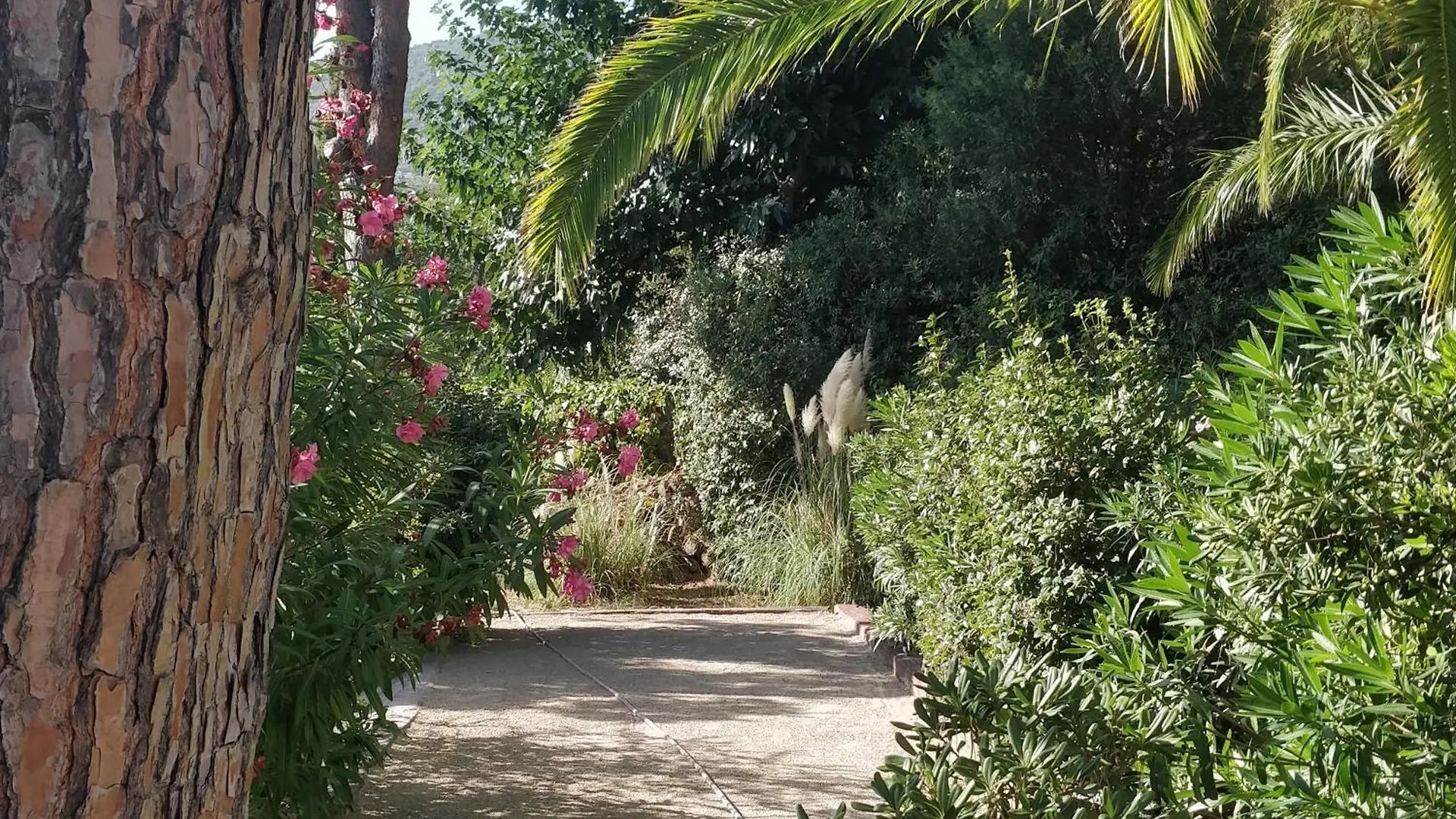 Hotel La Beluga Sainte-Maxime