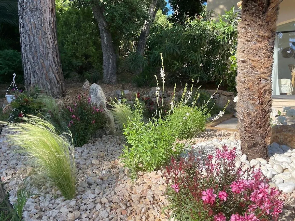 La Beluga Hotel Sainte-Maxime France